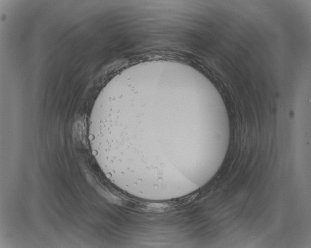 X0000083650222200703121754