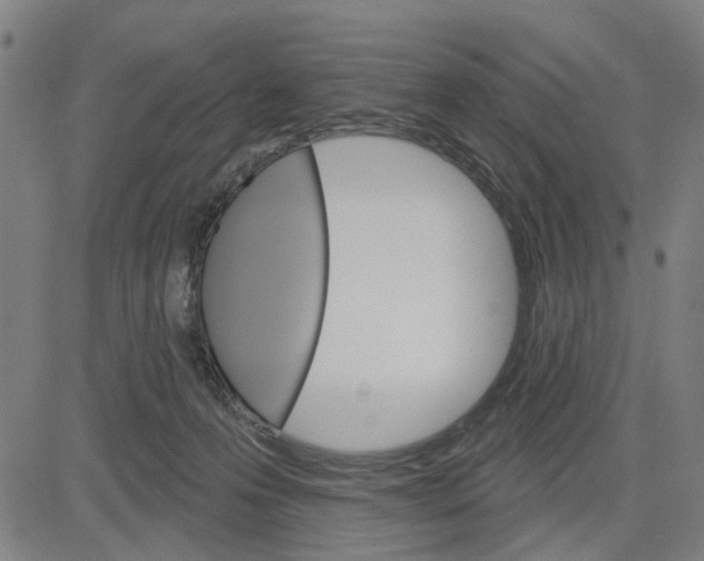 X0000083650223200703121754