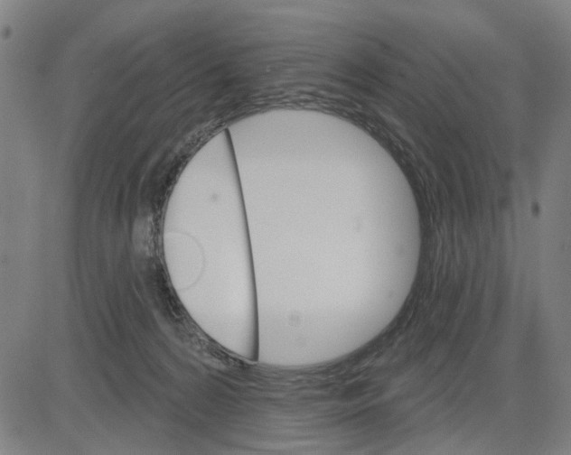 X0000083650224200703121754