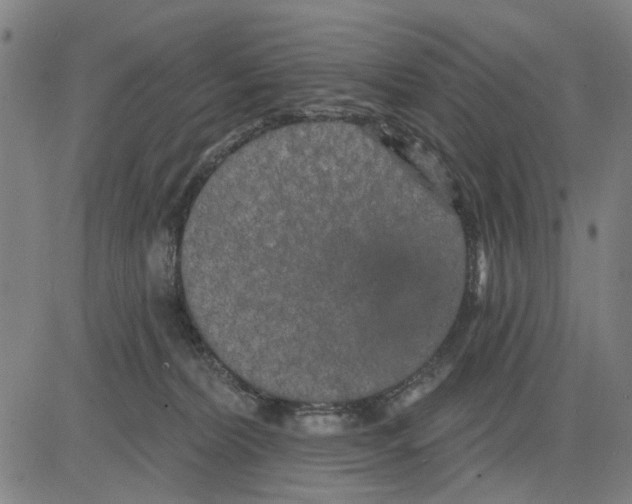 X0000083650228200703121753