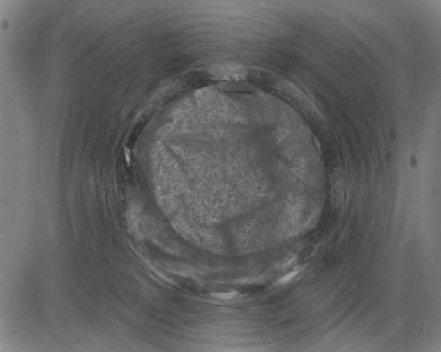 X0000083650229200703121753