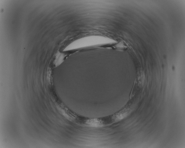 X0000083650231200703121753