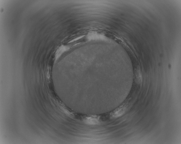 X0000083650232200703121753