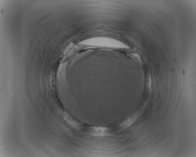 X0000083650233200703121753