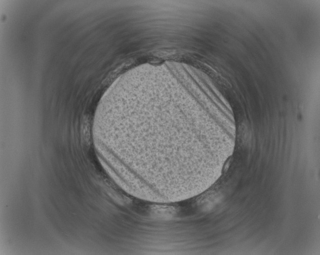 X0000083650234200703121753