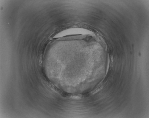 X0000083650236200703121753