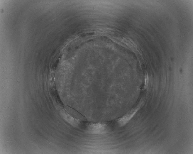 X0000083650237200703121753