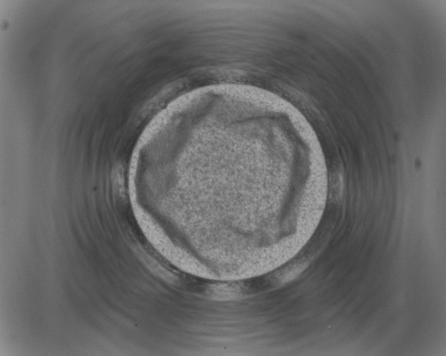 X0000083650238200703121753