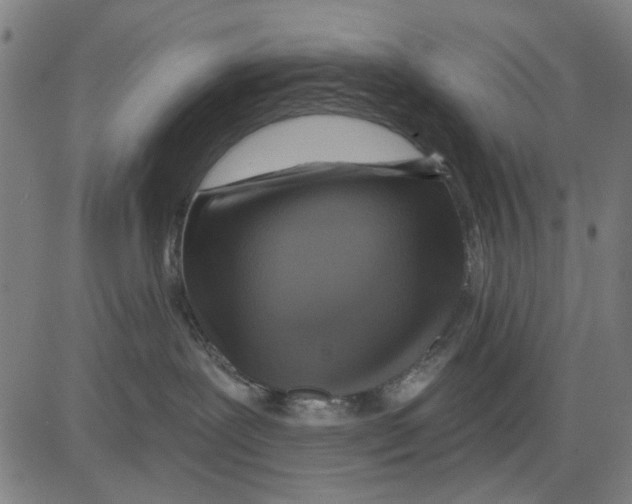 X0000083650239200703121753