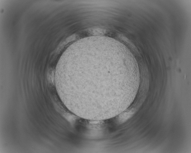 X0000083650240200703121753