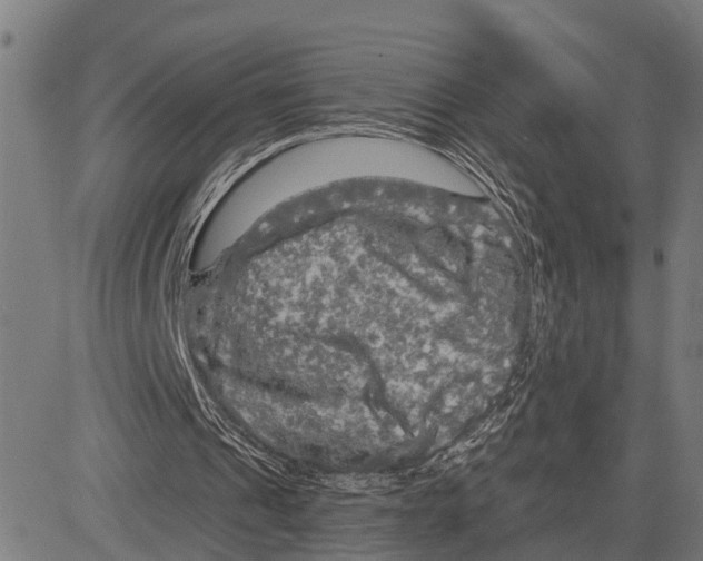 X0000083650241200703121752