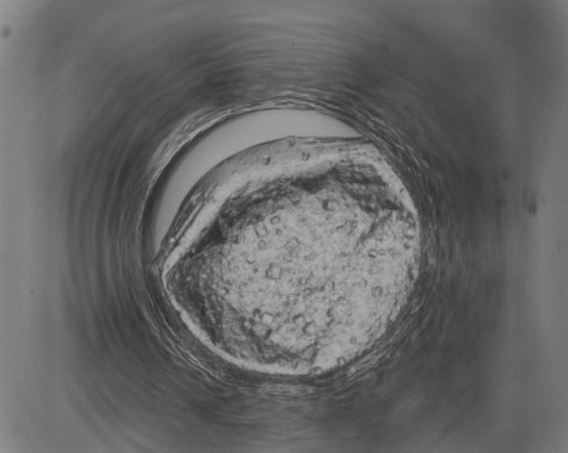 X0000083650242200703121752