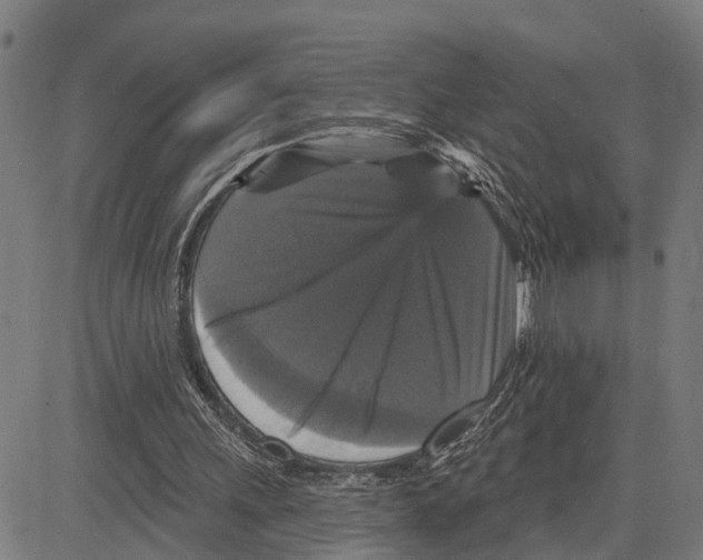 X0000083650243200703121752