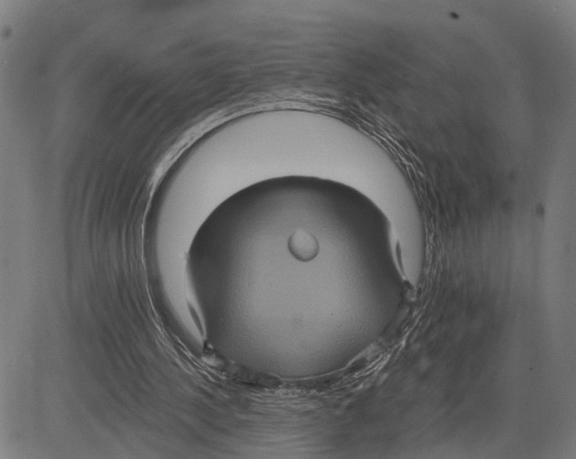 X0000083650244200703121753