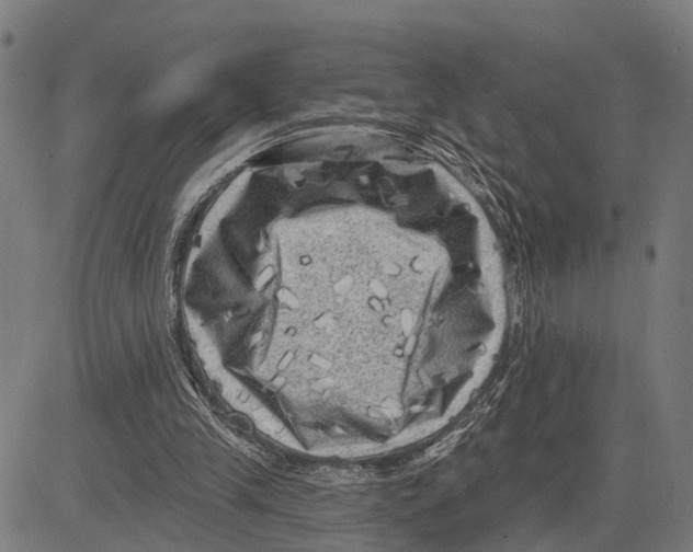 X0000083650245200703121753