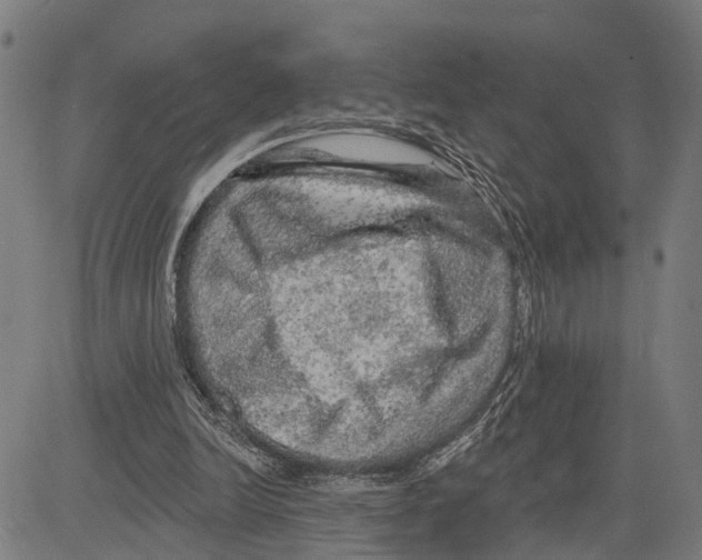 X0000083650246200703121753