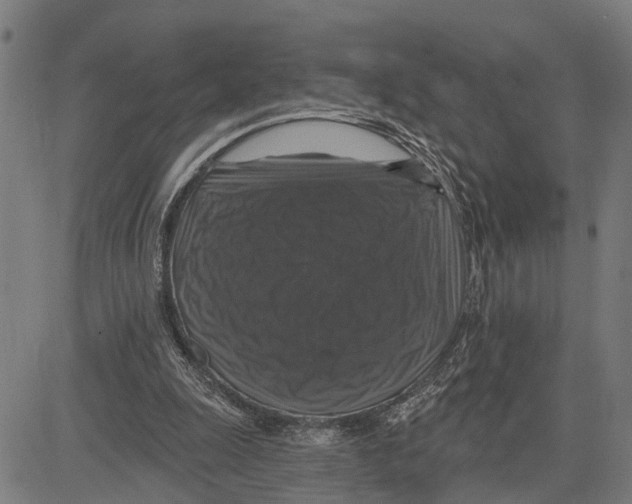 X0000083650247200703121753