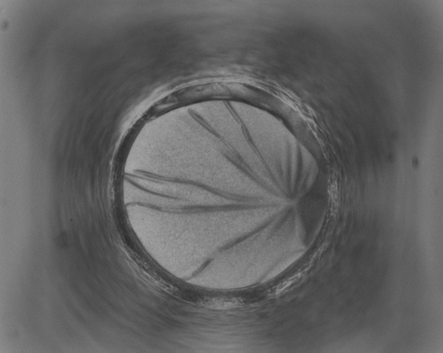 X0000083650248200703121753