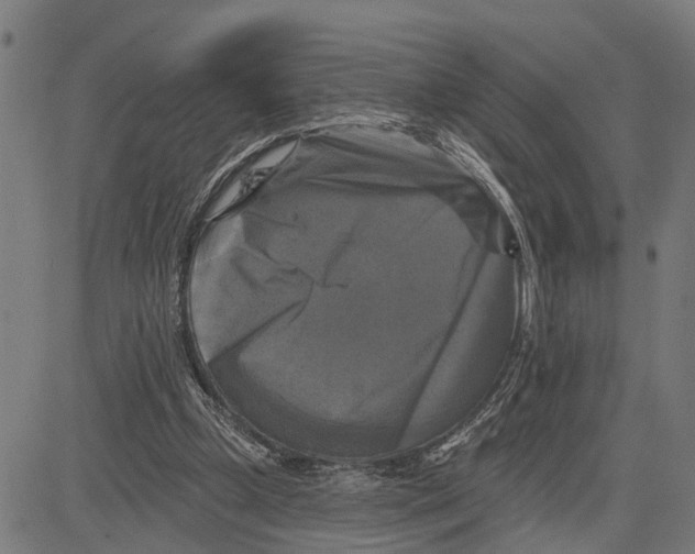 X0000083650249200703121753