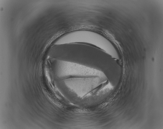 X0000083650250200703121753