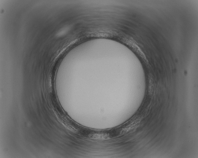 X0000083650251200703121753