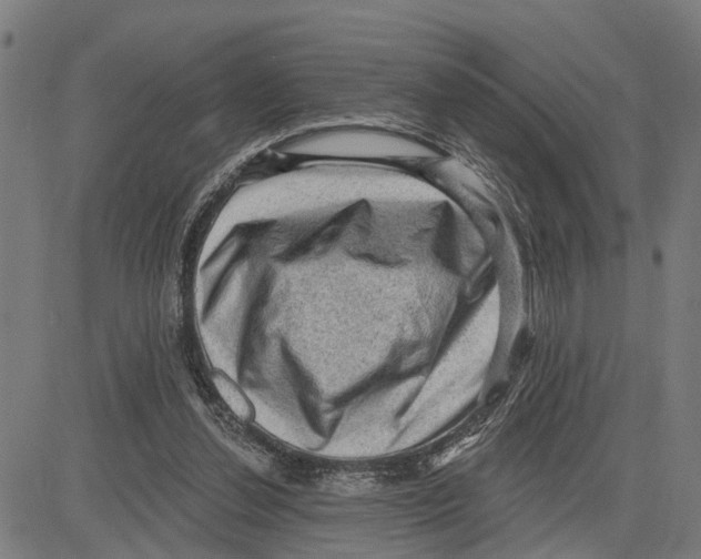 X0000083650252200703121753