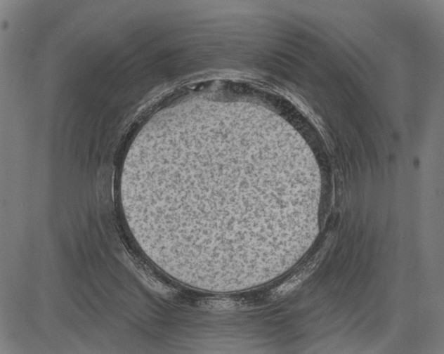 X0000083650253200703121753