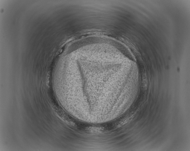 X0000083650255200703121753