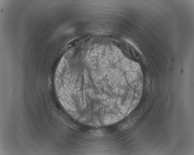 X0000083650259200703121753