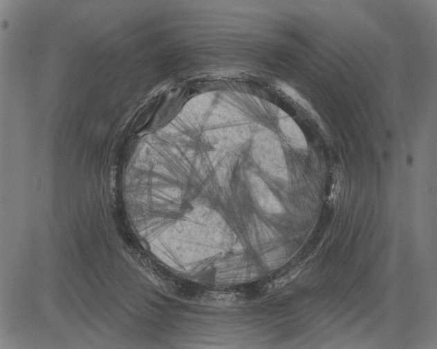 X0000083650260200703121753