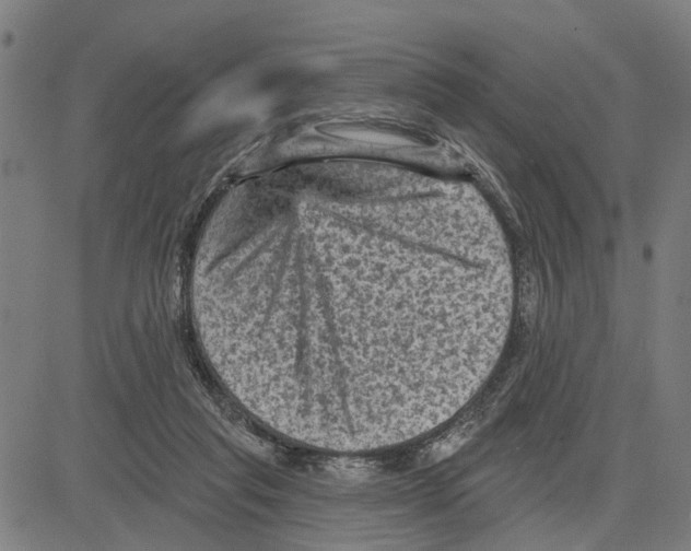 X0000083650261200703121753