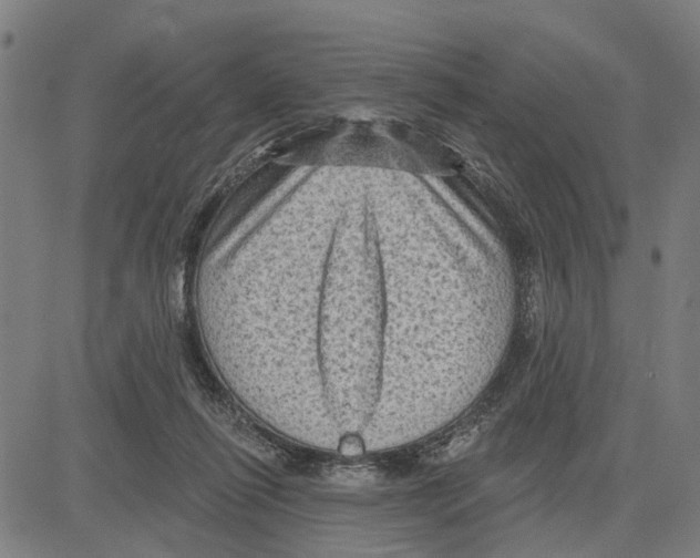 X0000083650262200703121753