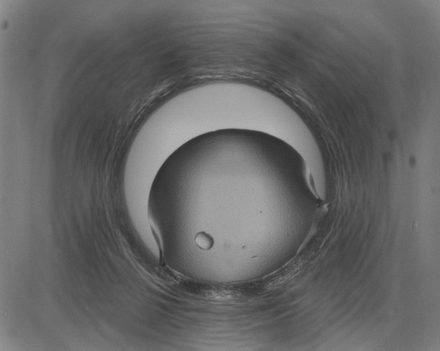 X0000083650264200703121753