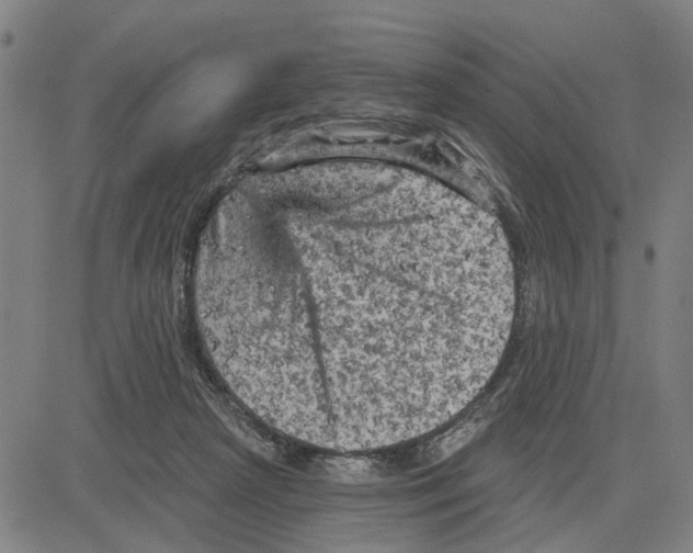 X0000083650265200703121753