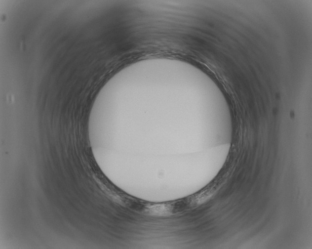 X0000083650269200703121753