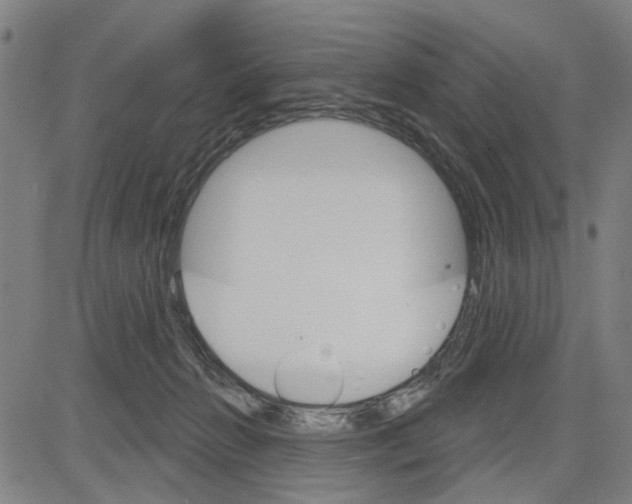 X0000083650270200703121753