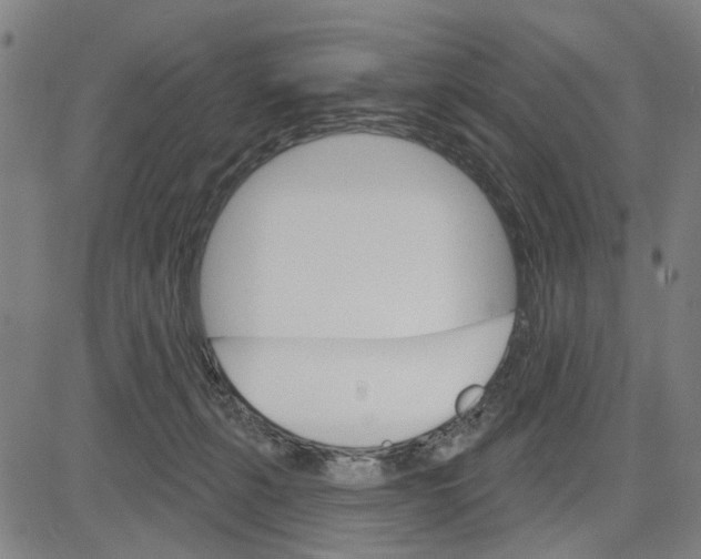 X0000083650271200703121753