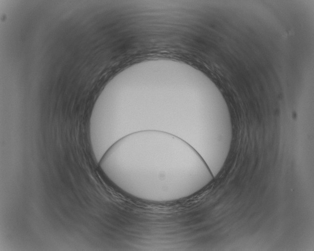 X0000083650272200703121753