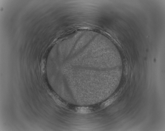 X0000083650273200703121753