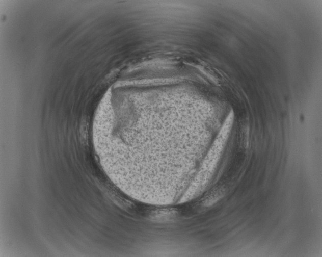 X0000083650274200703121753