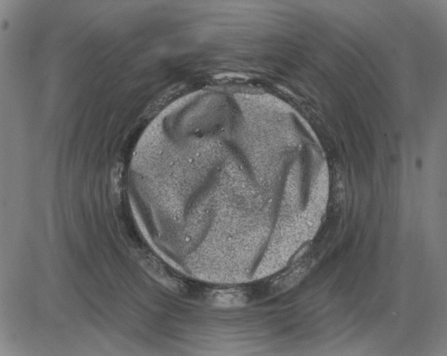 X0000083650275200703121753