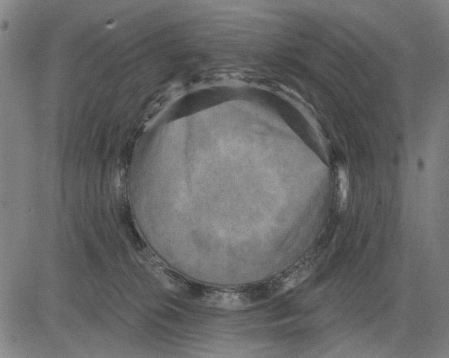 X0000083650276200703121753