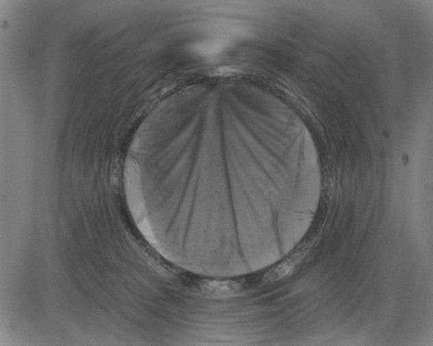 X0000083650277200703121753