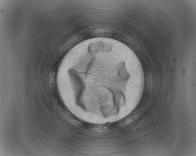 X0000083650278200703121753