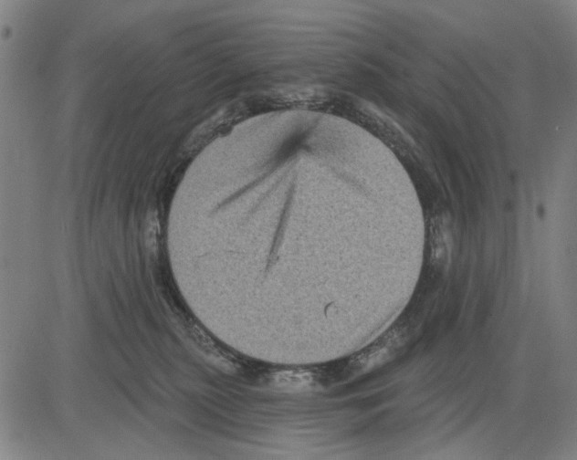 X0000083650279200703121753