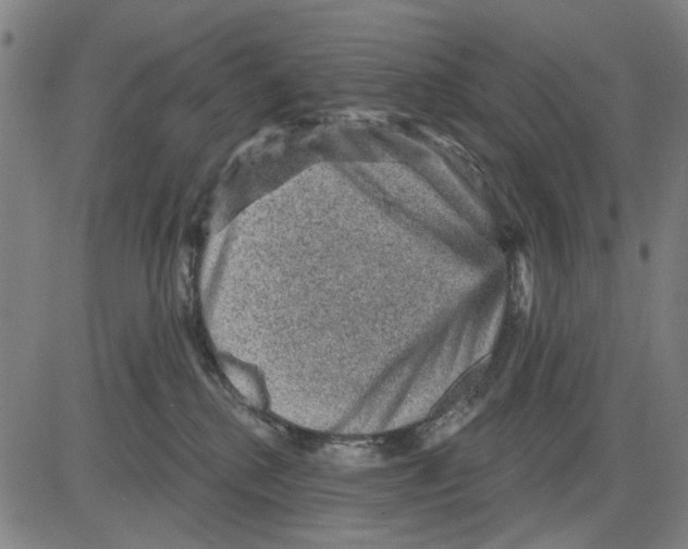 X0000083650280200703121753