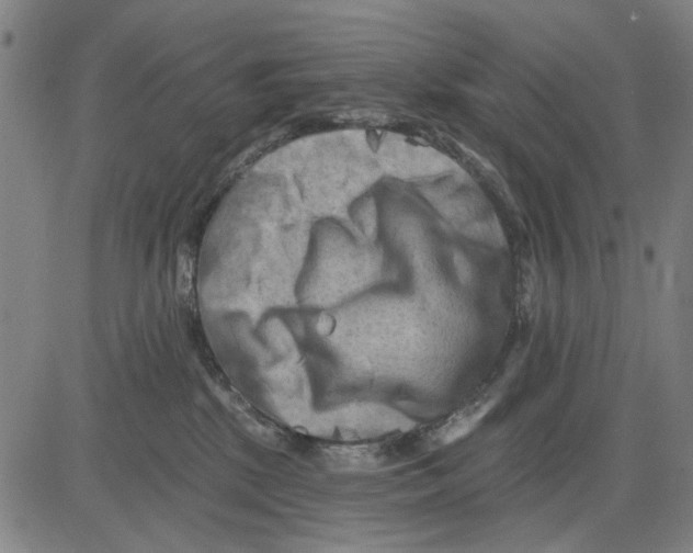 X0000083650281200703121753