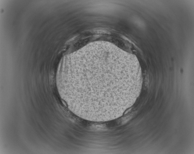 X0000083650283200703121753