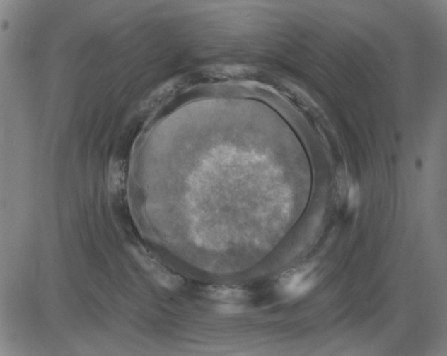 X0000083650284200703121753