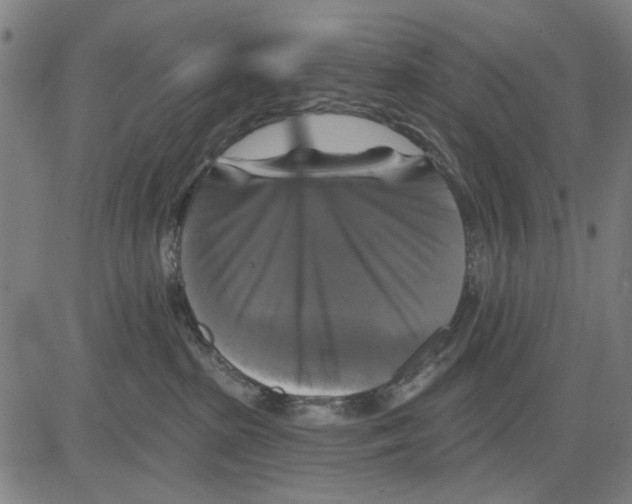 X0000083650285200703121753